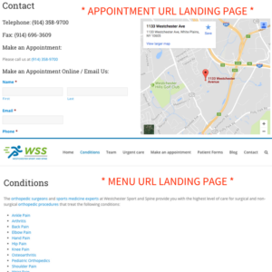 Google Appointment and Menu URL Landing Page